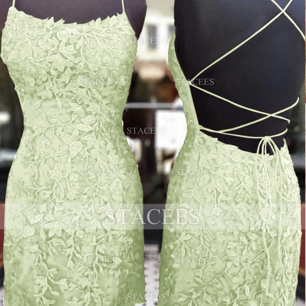 Floral Embroidered Mini Dress in Sage Green